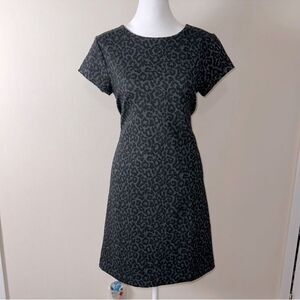 LOFT S Black Gray Leopard Animal Print Short Sleeve Shift Dress